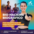 Protocolo de 20 pasos para la optimización de sistemas internos y máxima capacidad operativa +4 bonos
